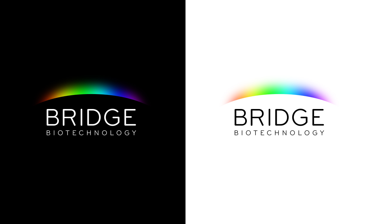 Bridge Biotechnology Peter Scott Graphic Design & Illustration Glasgow